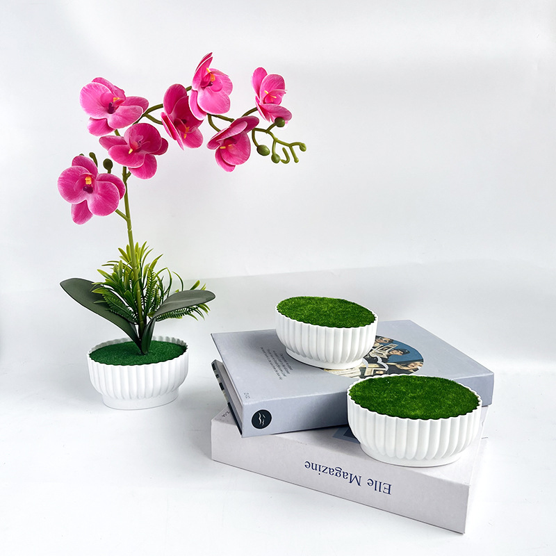 부식 방지 사출 성형 공정을 이용한 시뮬레이션 화분,  - Bonsai Garden Shop 리뷰 및 가격